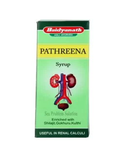 Baidyanath Pathreena Syrup